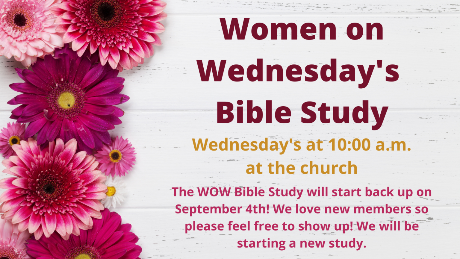 WOW Bible Study (9)